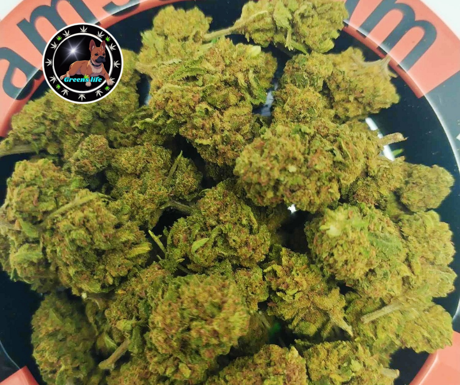 Canna punch